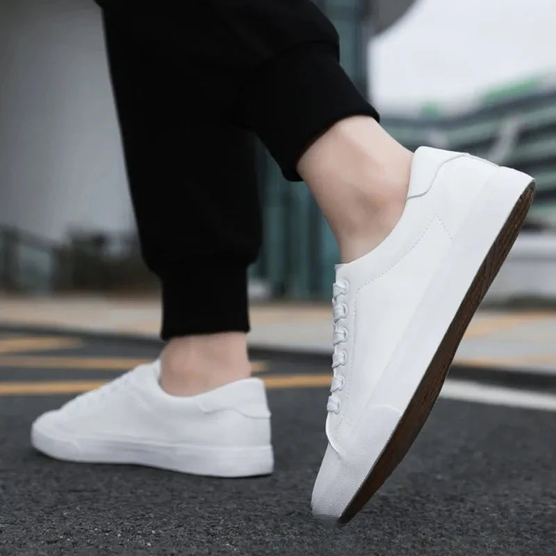Sneaker Basse Stringate da Uomo